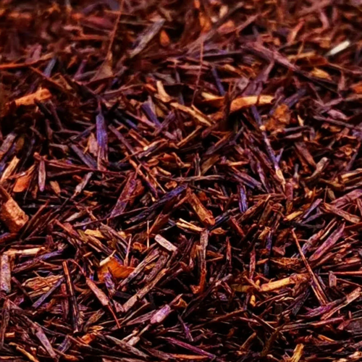 Earl Red Rooibos