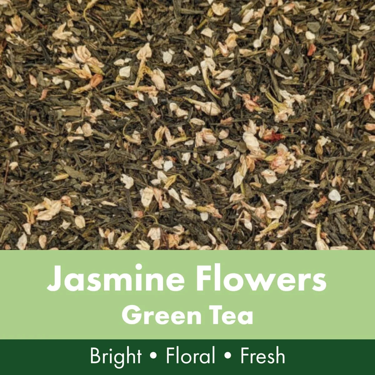 Jasmine Flowers