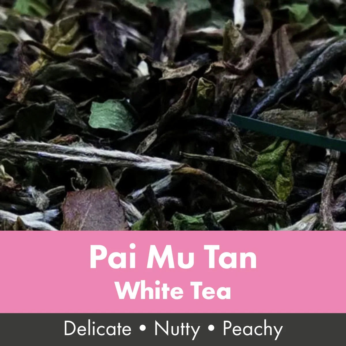 Pai Mu Tan